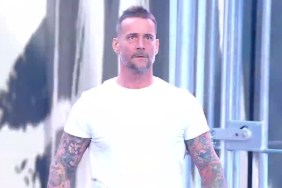 cm punk