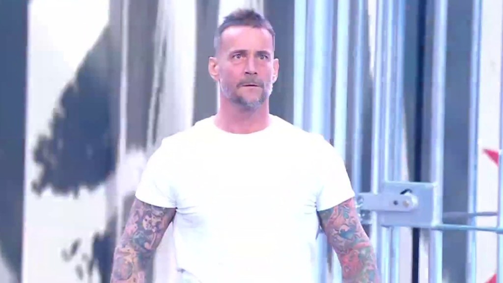 cm punk