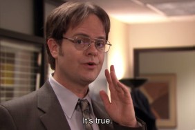 rainn wilson dwight schrute the office