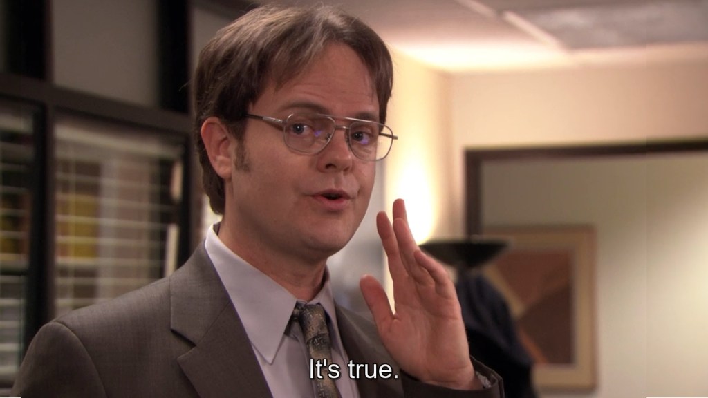 rainn wilson dwight schrute the office