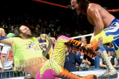 randy savage jake roberts