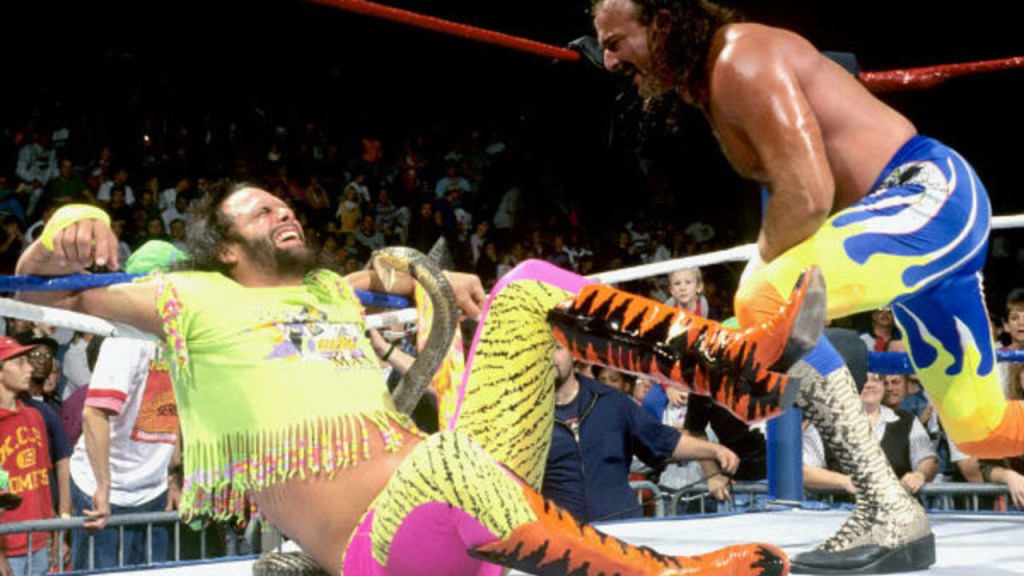 randy savage jake roberts