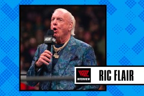 ric flair