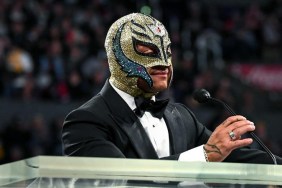 Rey Mysterio WWE