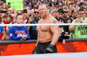 Brock Lesnar WWE