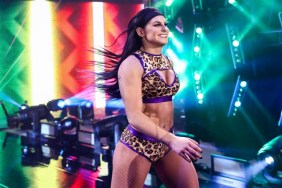 Dani Palmer WWE NXT