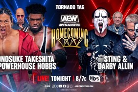 Sting Darby Allin AEW Dynamite