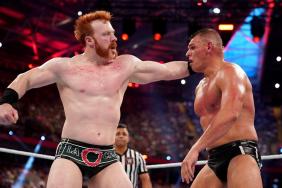 Sheamus Gunther WWE