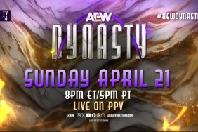 AEW Dynasty