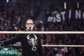 Sting AEW Revolution