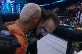 Sting Darby Allin AEW Revolution