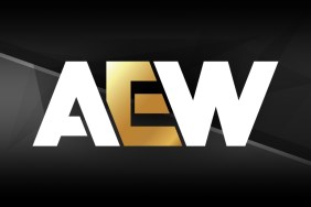 aew logo 2024