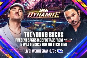 The Young Bucks AEW Dynamite AEW All In