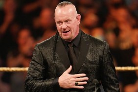 the undertaker wwe