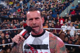 WWE RAW CM Punk