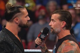 Seth Rollins CM Punk WWE Raw