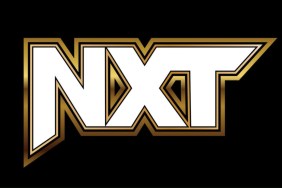 WWE NXT white and gold logo