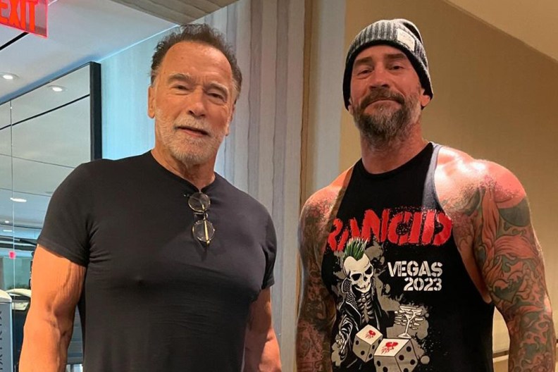 arnold schwarzenegger cm punk