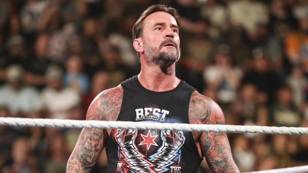 cm punk