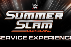 wwe summerslam service