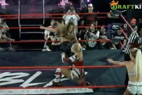 mandy sacs shazza mckenzie