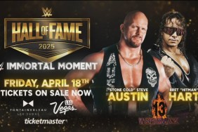 WWE Hall of Fame Immortal Moment