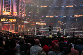 Fan Paid $38,000 For VIP ticket at WWE WrestleMania 41