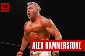 alex hammerstone