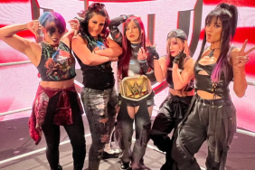 Major Backstage Update on Damage CTRL