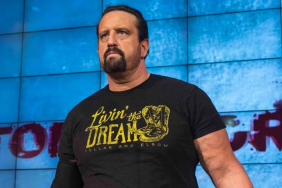 Tommy Dreamer Taken Out in Brutal Attack on TNA Impact
