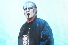 Sting Helps Fan Propose in Heartwarming Moment