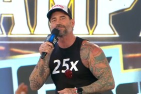 CM Punk