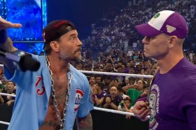 cm punk john cena basic punkanomics