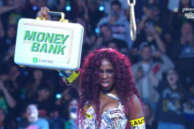 Naomi Captures The Briefcase At WWE Money In The Bank