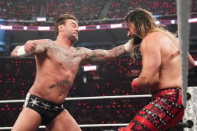 seth rollins cm punk