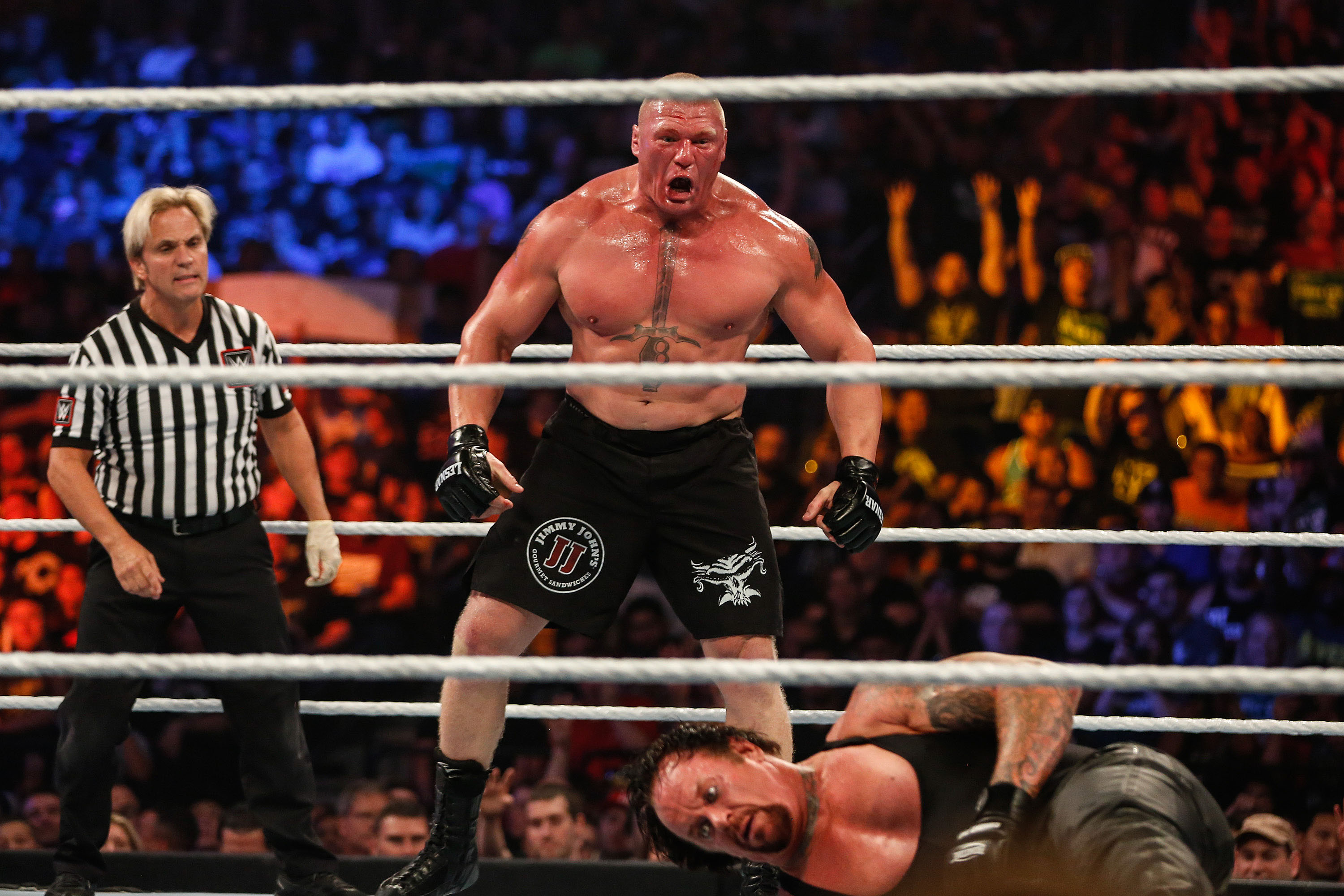 Brock Lesnar v Undertaker