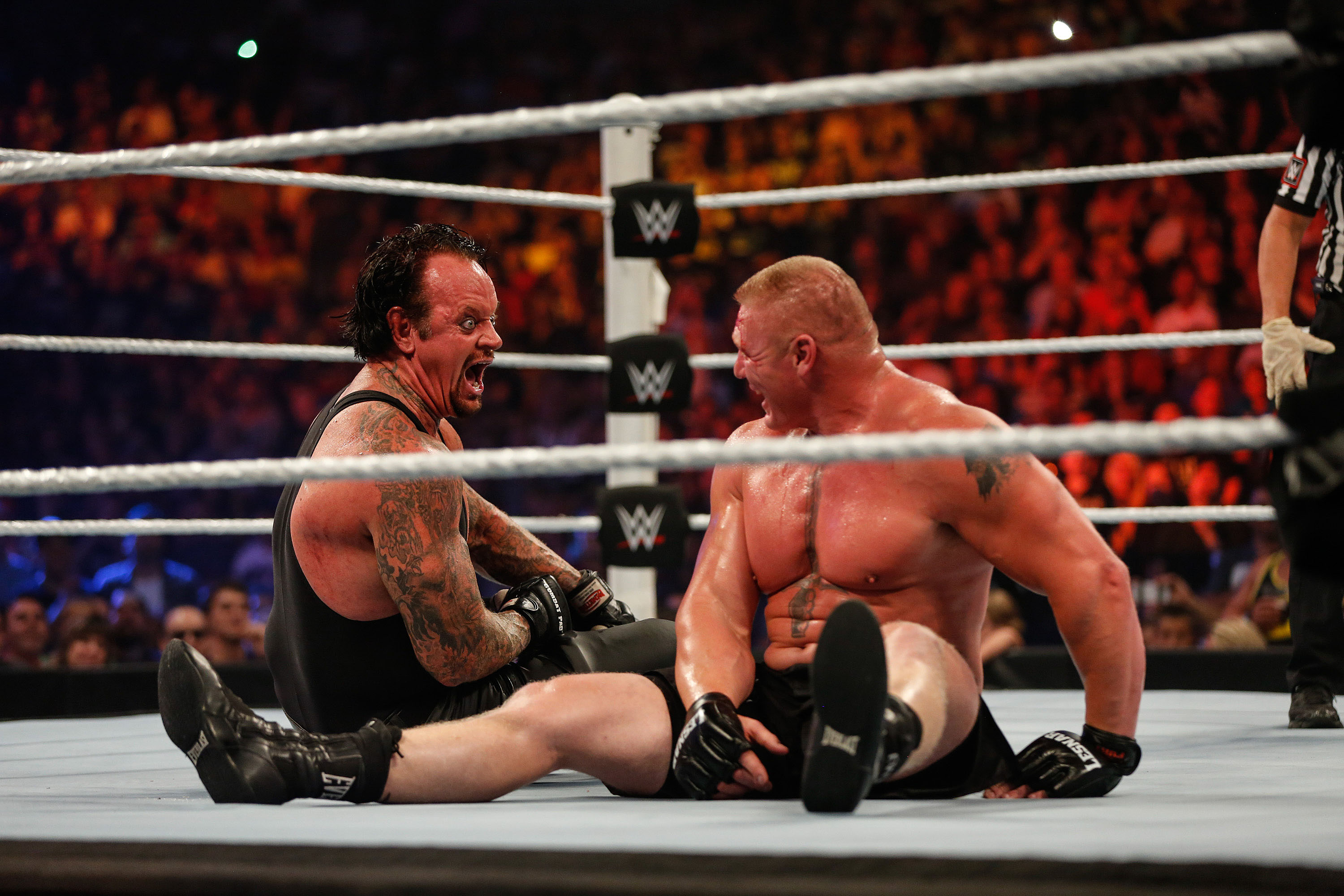 Brock Lesnar v Undertaker