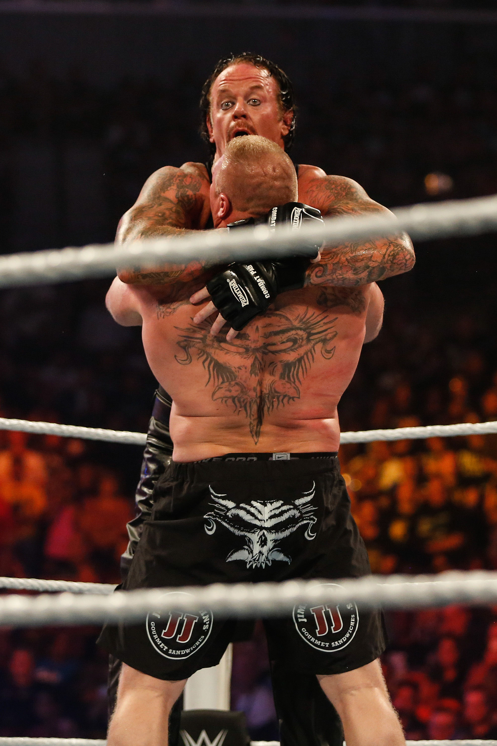 Brock Lesnar v Undertaker