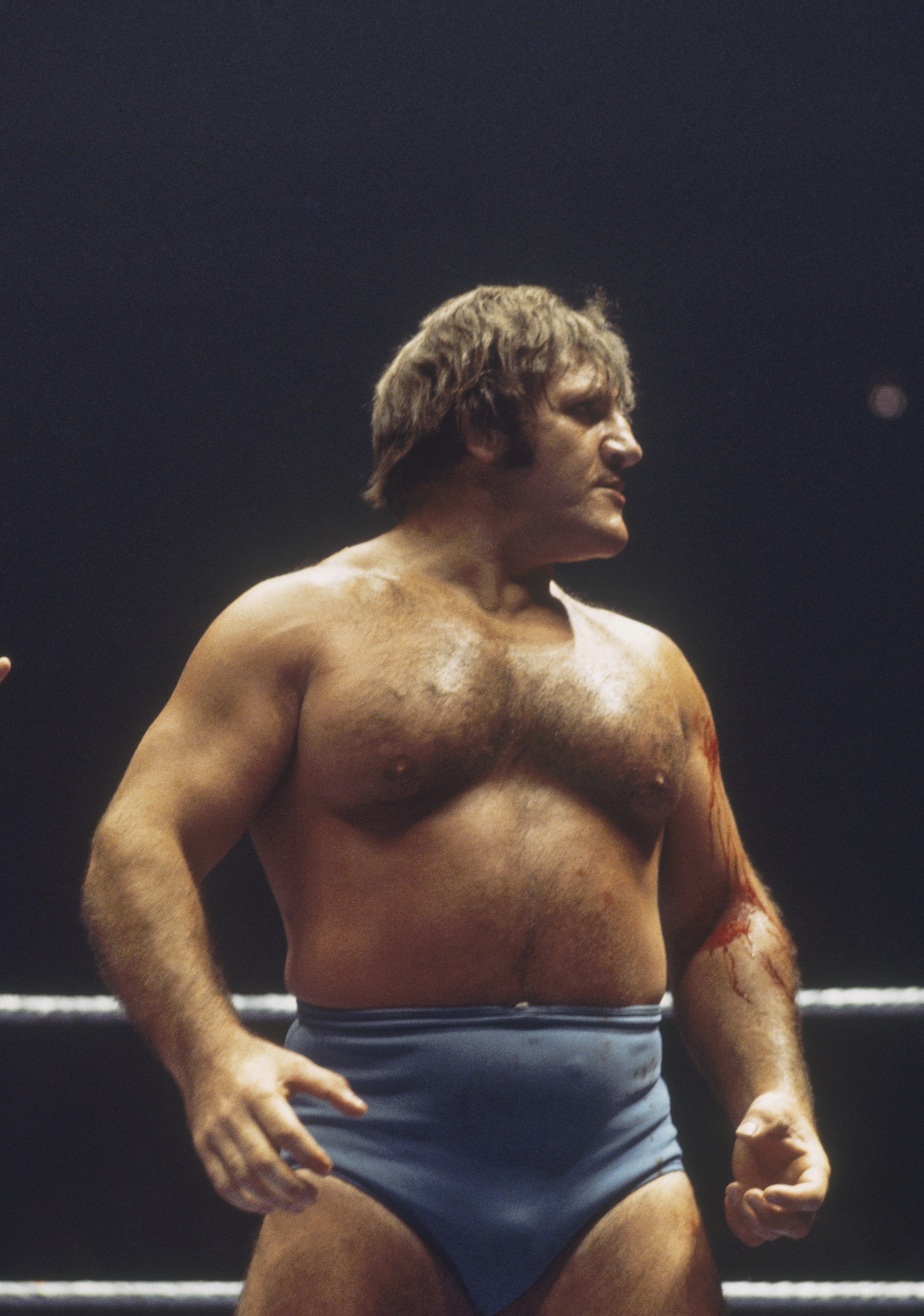 Bruno Sammartino