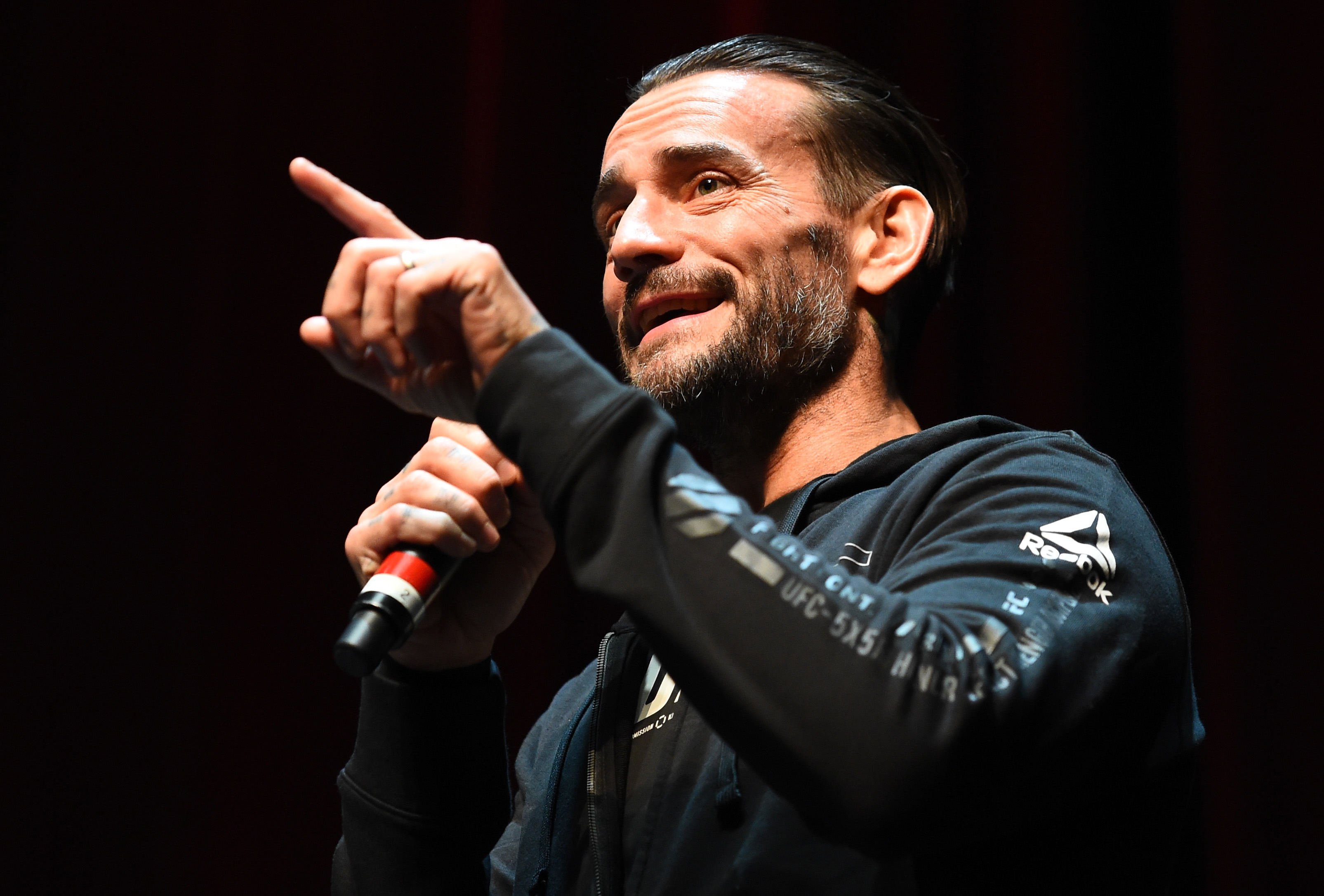 CM Punk UFC 225