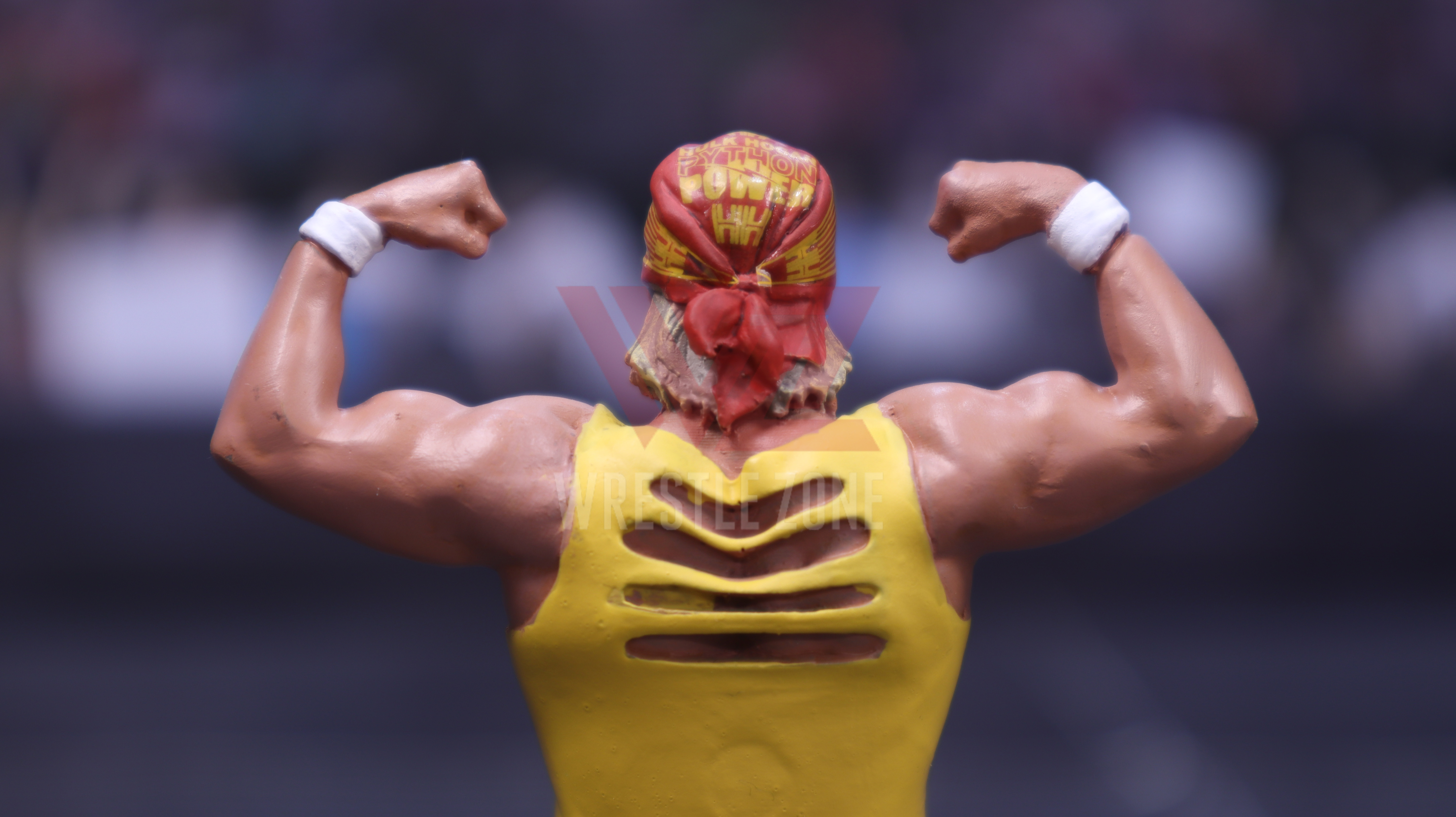 Wz_wwe_herocollector_hogan_20201228_2062