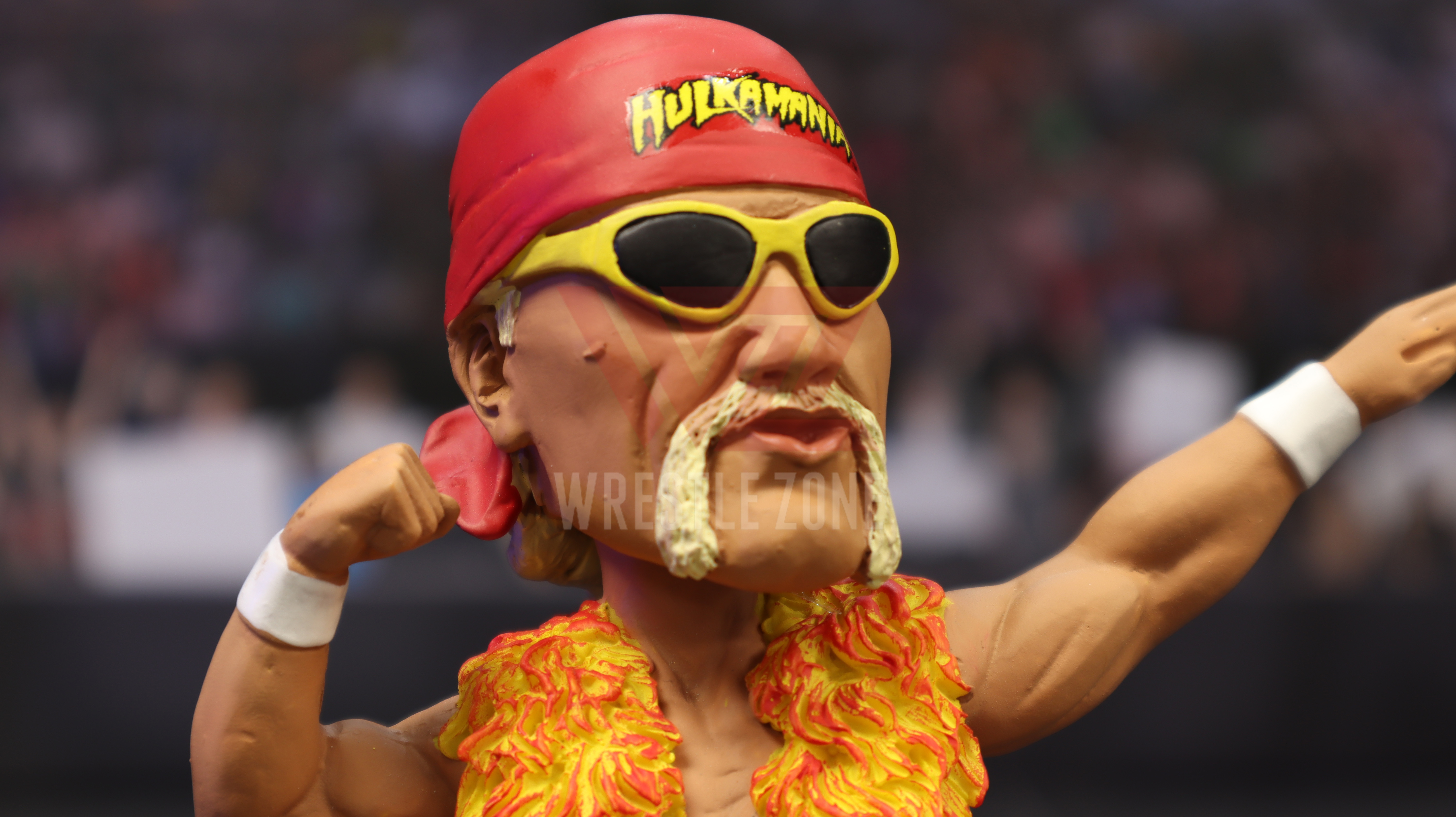 Wz_foco_wwe_hogan_e20201127_1724