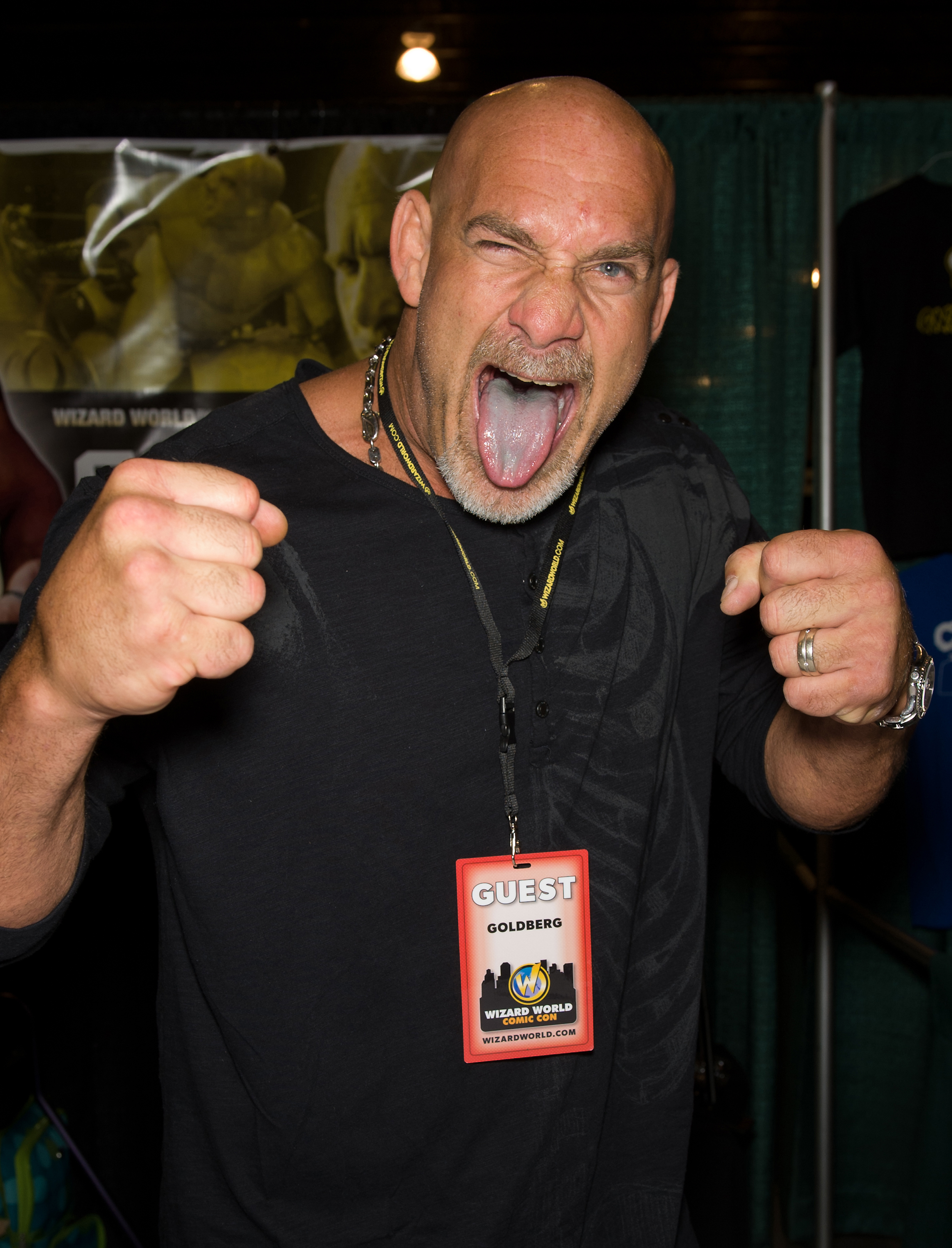 Goldberg Mini Gallery #16