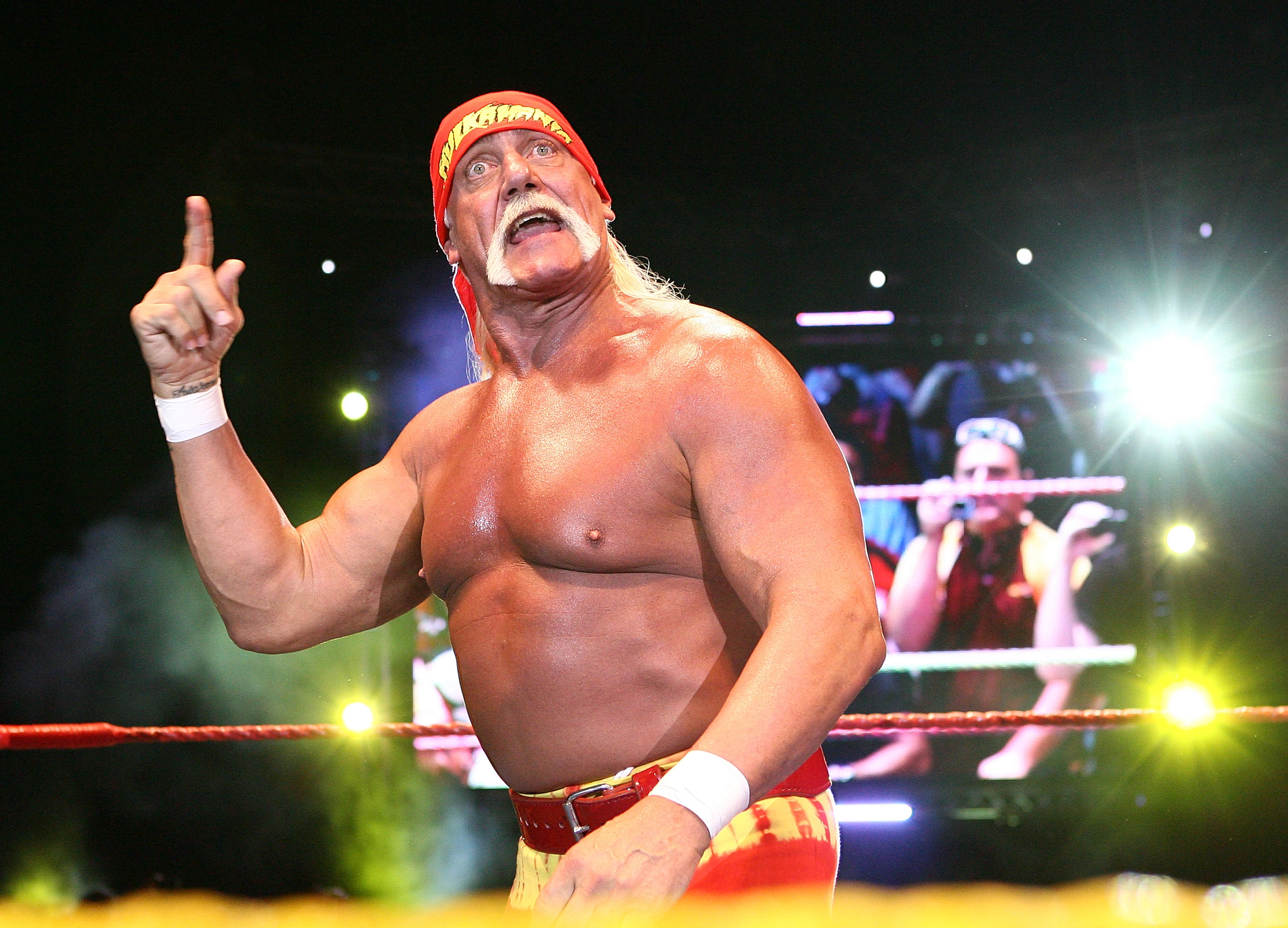 Hulk Hogan vs Ric Flair