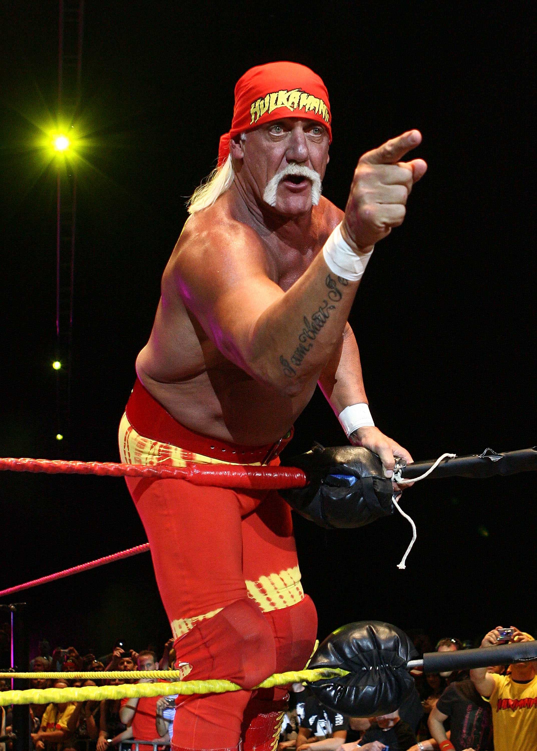 Hulk Hogan vs Ric Flair