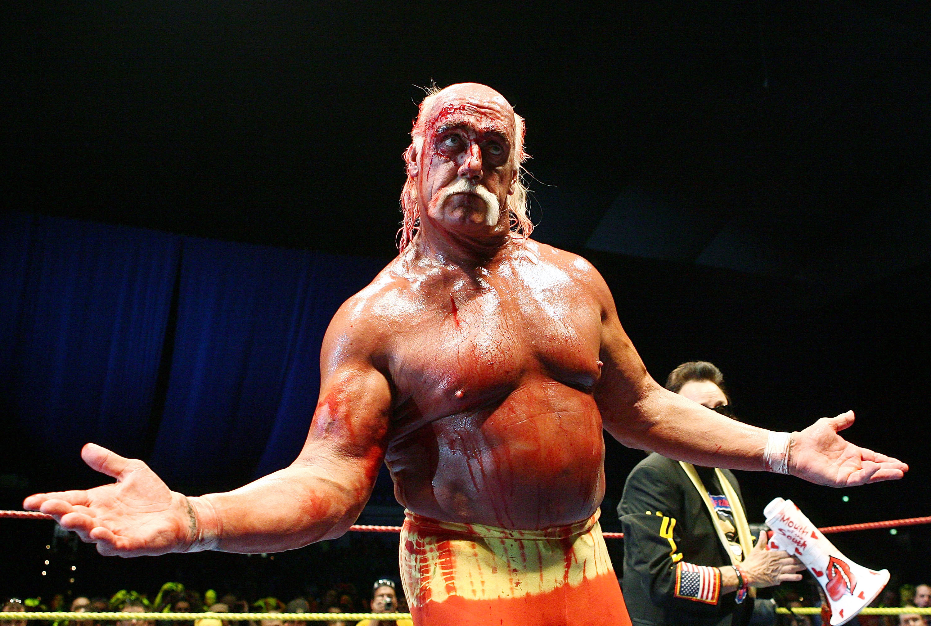 Hulk Hogan vs Ric Flair