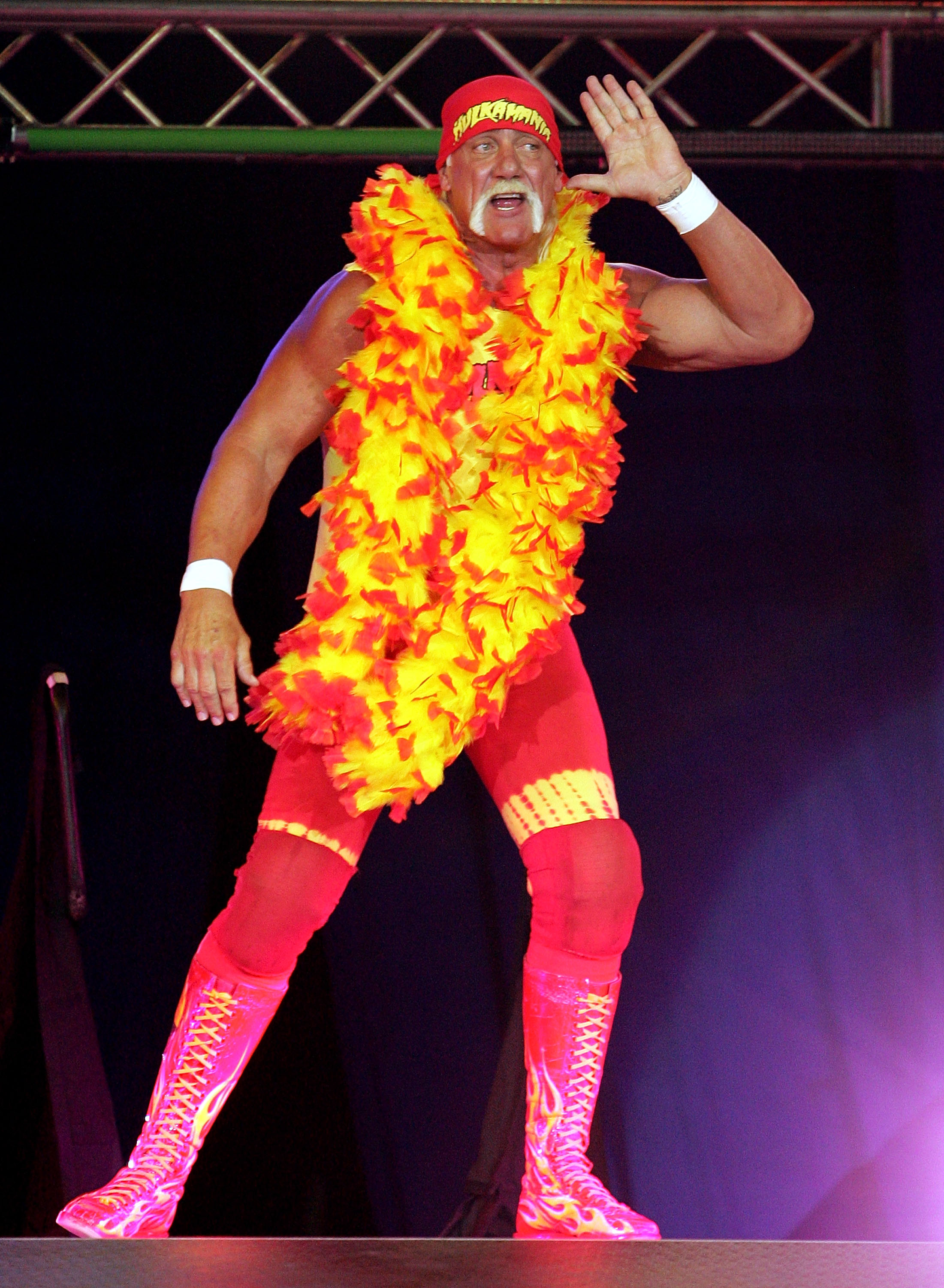 Hulk Hogan vs Ric Flair