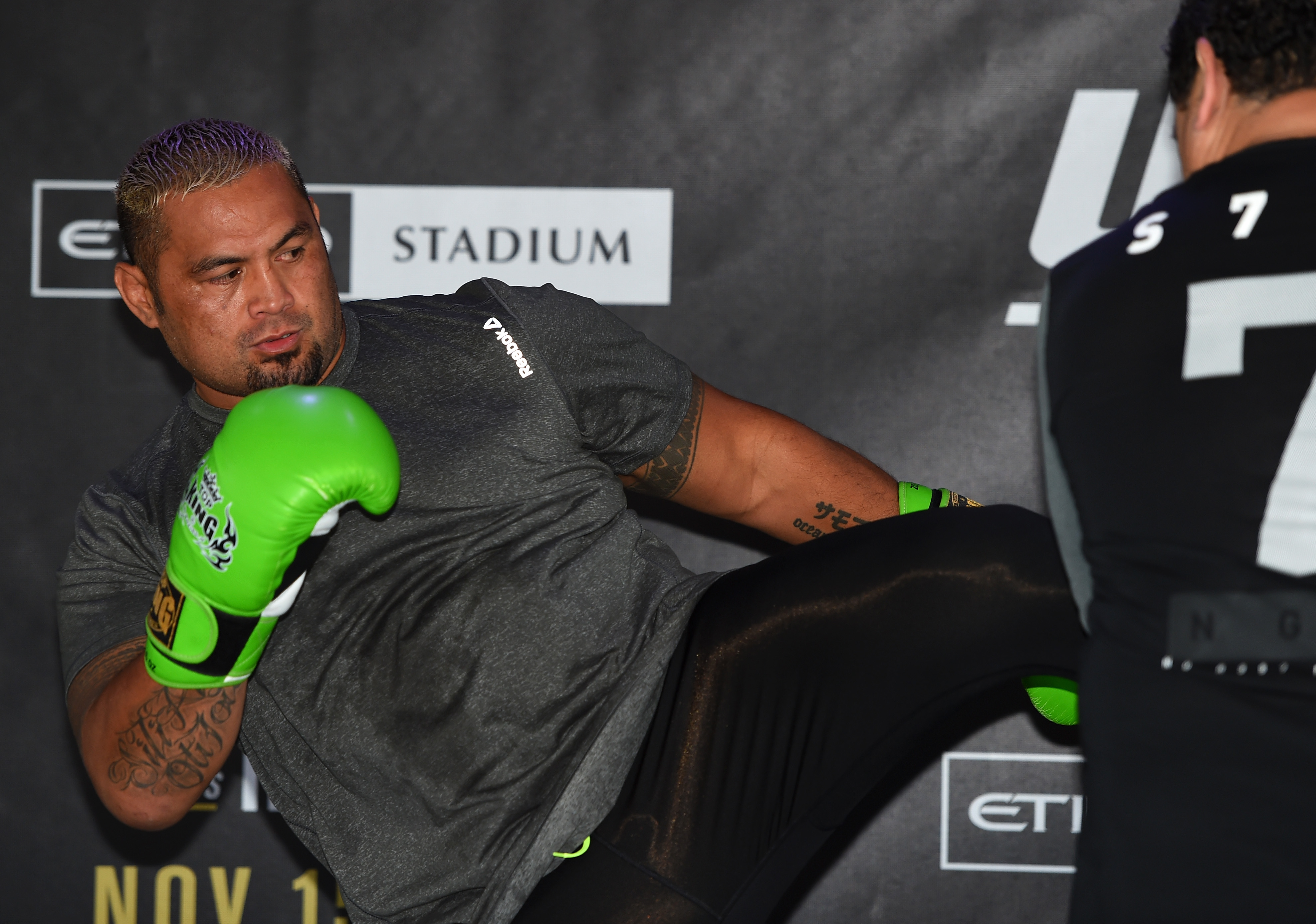 Mark Hunt #2