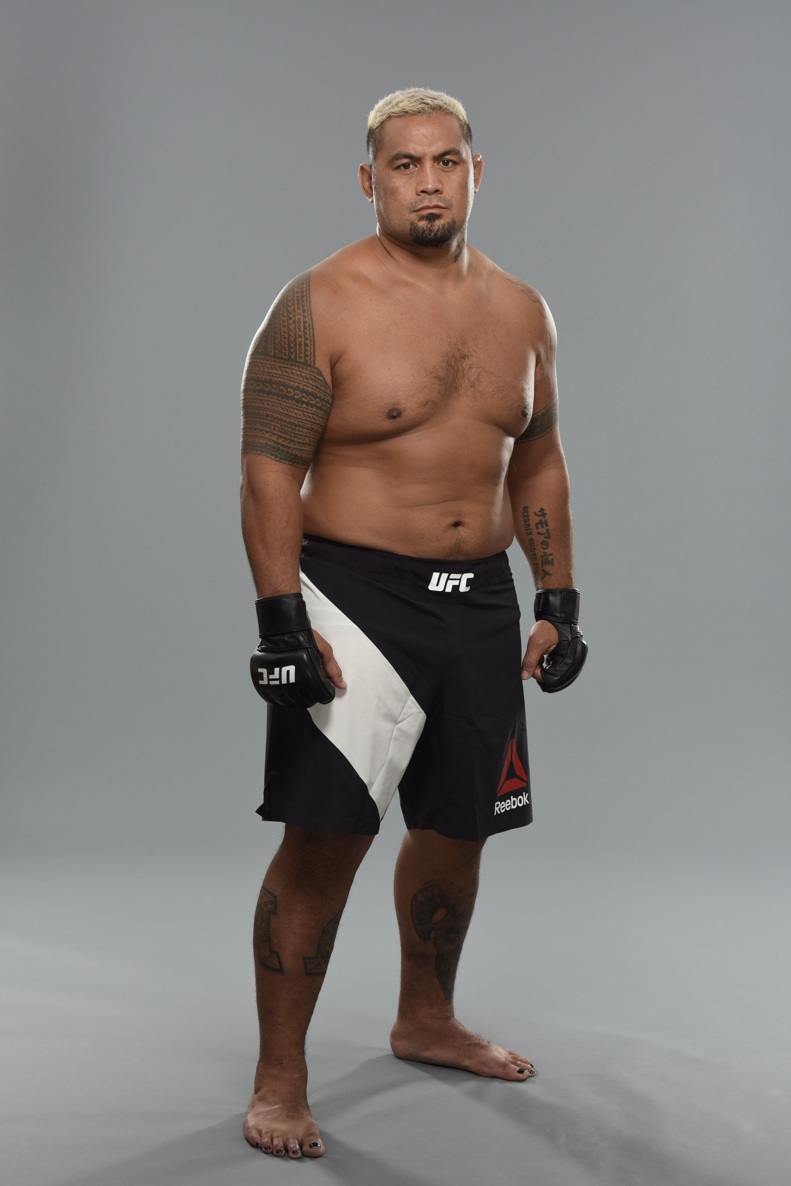 Mark Hunt #7