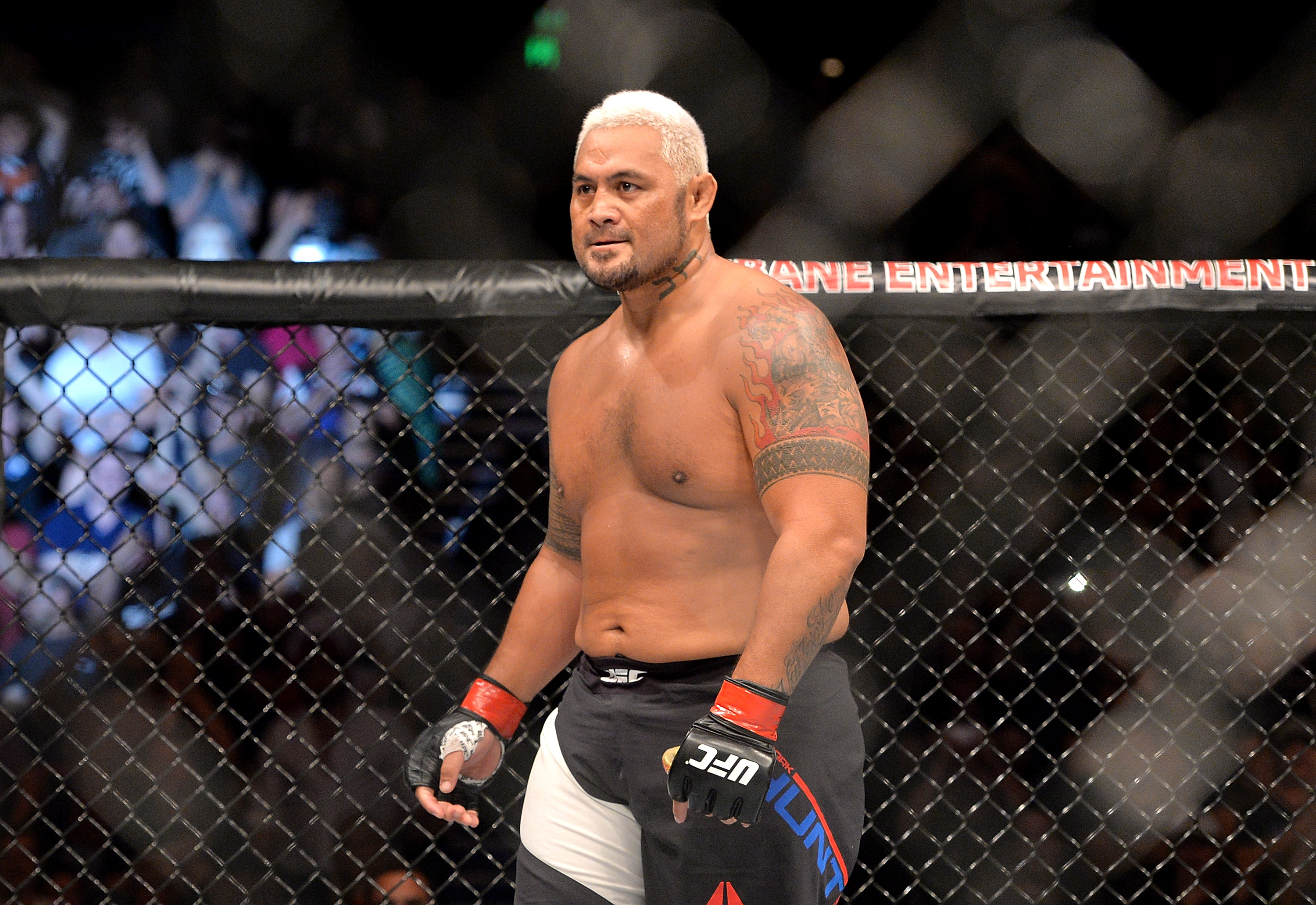 Mark Hunt #18